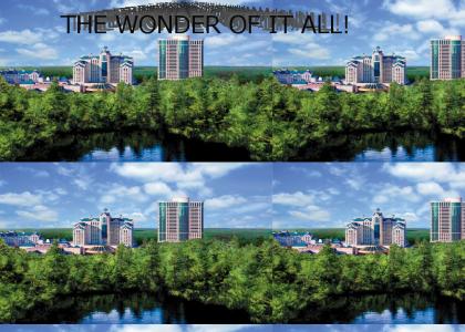 Foxwoods Casino (The Wonder of it All)