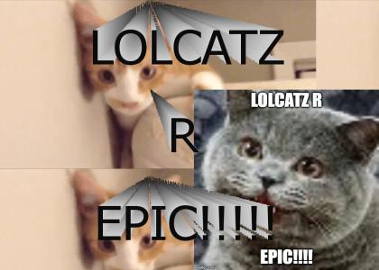 TEH 3PIC LOLCATZ!!!