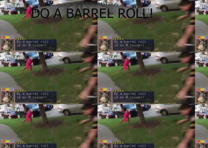 Do a barrel roll Cop!