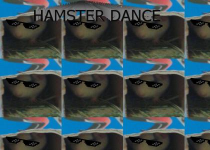 HamsterDance