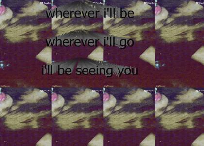 emrakto loves cheesecakes