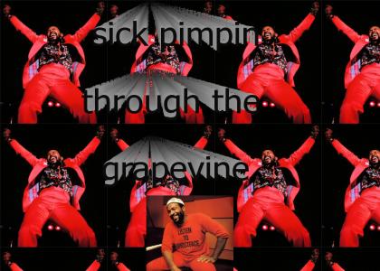 sick pimpin' through the grapevine