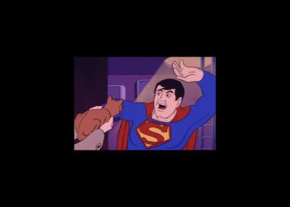 Superman hates cats