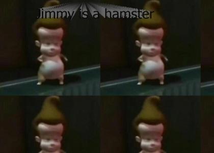 Jimy