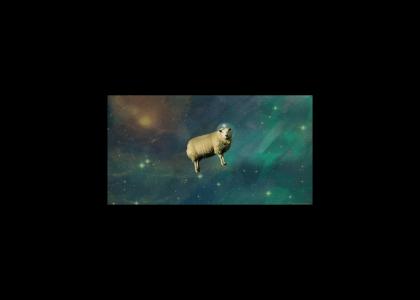 Sheep In Space