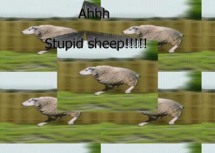 David Icke and his stupid sheep