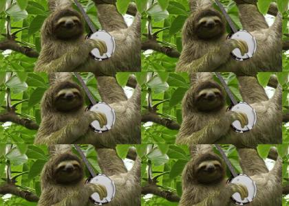 Banjo sloth