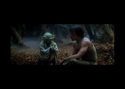 Yoda Gives Advice To Luke About Relationships