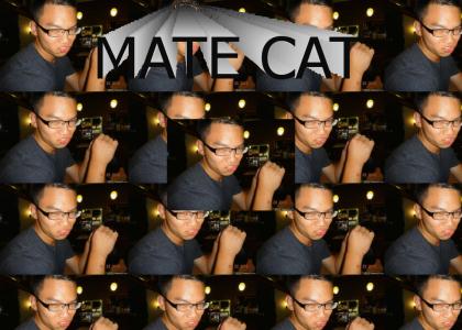 Mate Cat