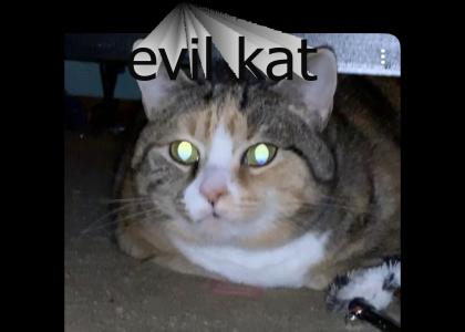 evil kitty evil kitty evil kitty evil kitty