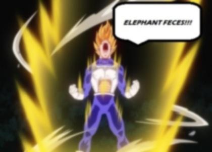 Vegeta VS Elephant Feces