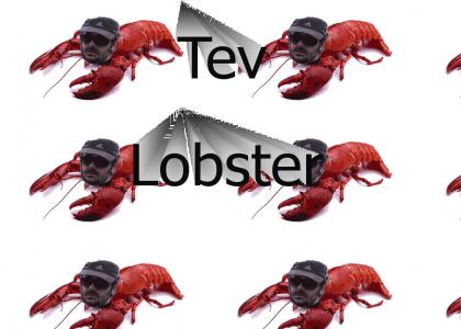 Tev Lobster