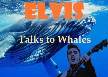 Elvis Talks To The Whales