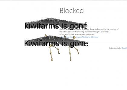 Kiwifarms is gone