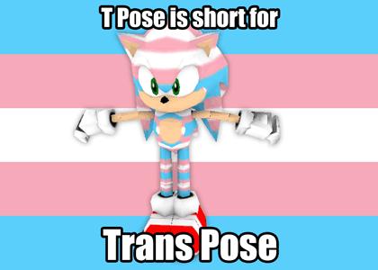 T-Pose