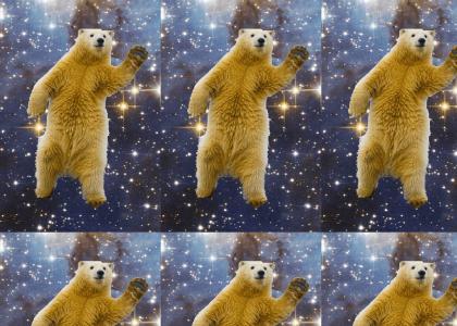 SPACE BEAR