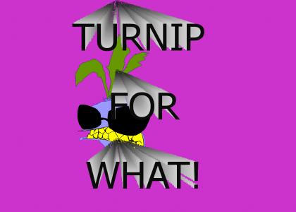 Turnip for What!