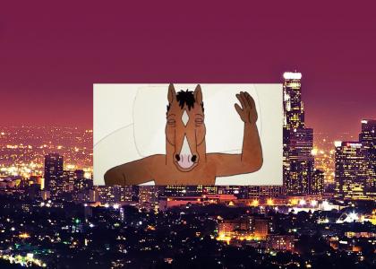 The Life and Times of Bojack Horseman