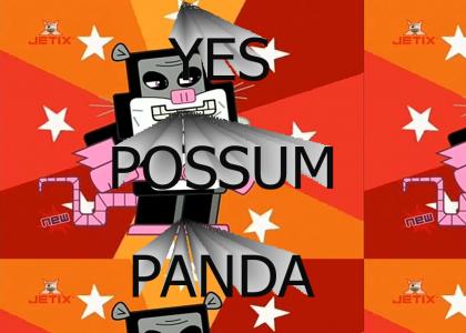 Possum Panda
