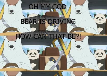 WHO IS DRIVING?! BEAR IS DRIVING! HOW CAN THAT BE?!