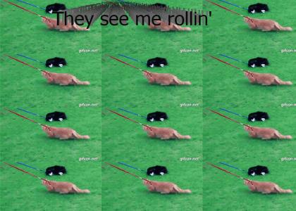 They see me rollin