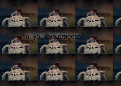 Yo, you like dragons?