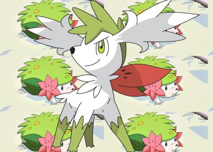 shaymin