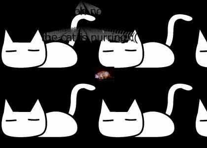 catpurr catpurr