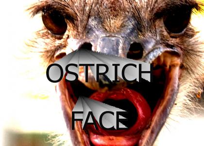 OSTRICH FACE