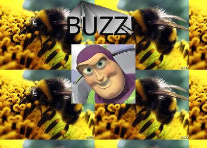 Buzz, buzz, buzz, BUZZ!