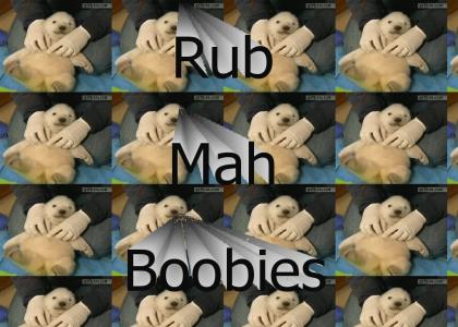 Rub Mah Boobies