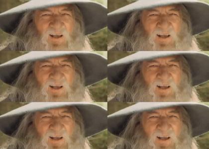 Gandalf goes with everything