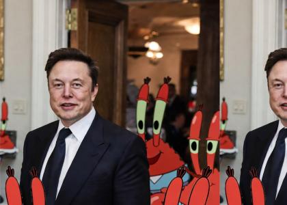 Mr Krabs and Elon Musk smoke weed muthafuck brah