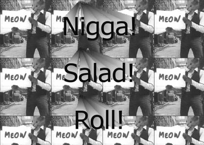 bob dylan sings nigger salad roll