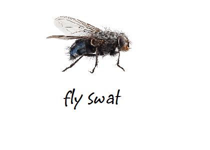 Swat that Damn Fly