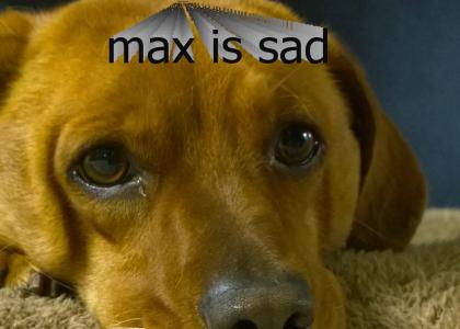 Please Save Max