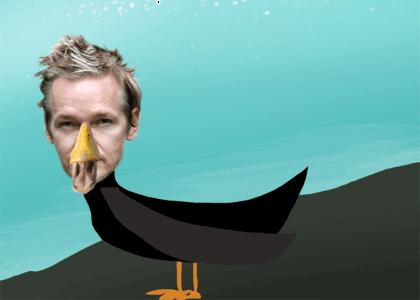 Duck a l'Assange
