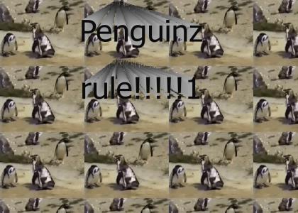 Hardcore Penguin