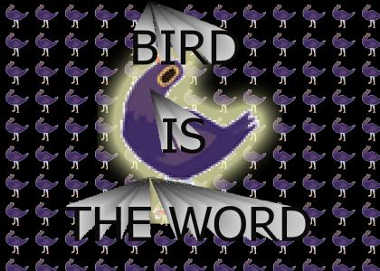 Bird is the Word