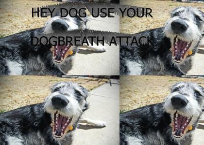 Dog Breath Is Gross