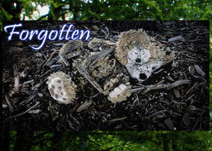 Forgotten Bear