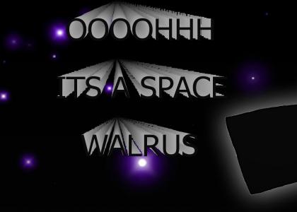 spacewalrus