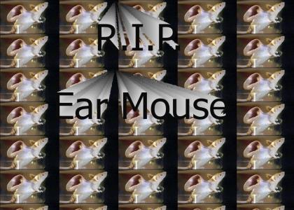 Ear Mouse