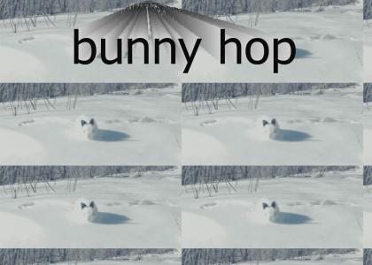 Bunny Hop!