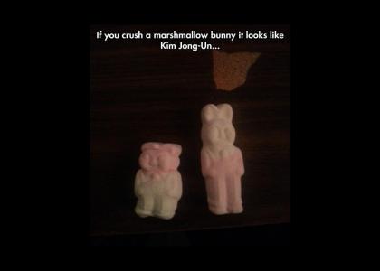 OMG! Marshmallow Kim Jong-un!!