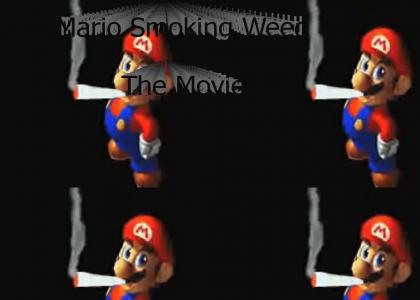 Mario Smoking Weed The Movie