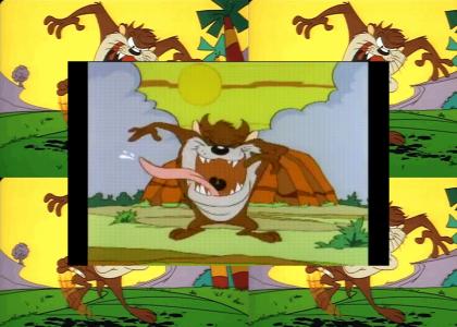 Warped Tour comes to Tasmania Warped Tour comes to Tasmania