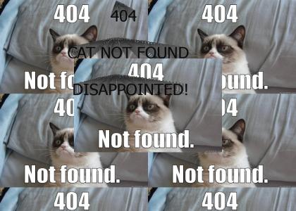 404 cat not found 404 cat not found