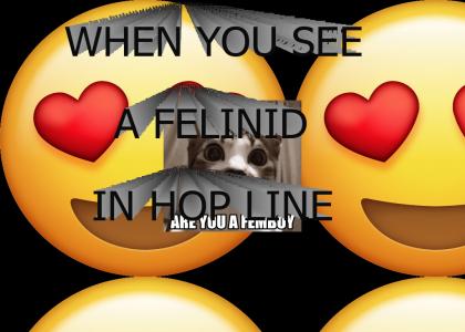mfw there's a felinid in hop line